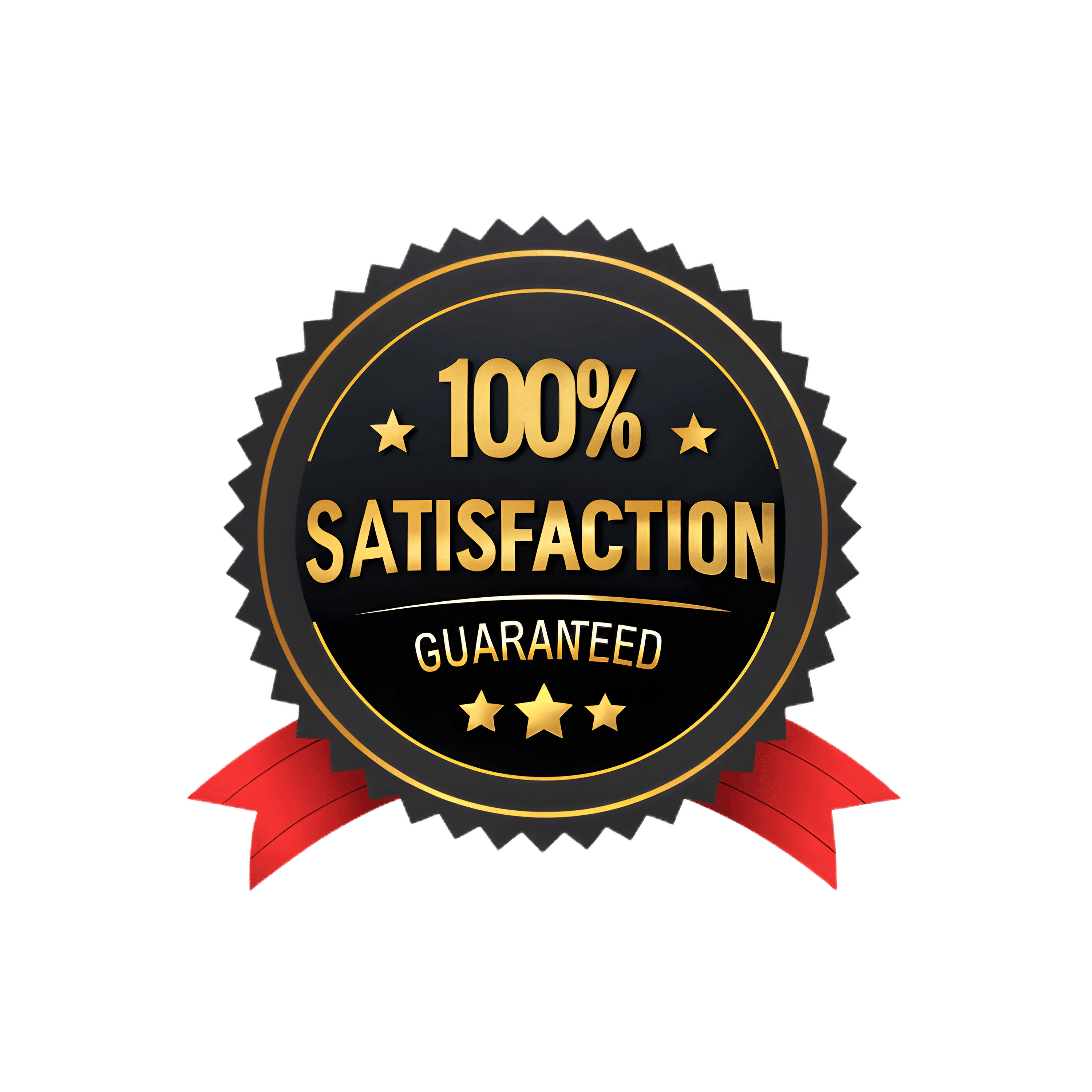100% Customer Satisfaction